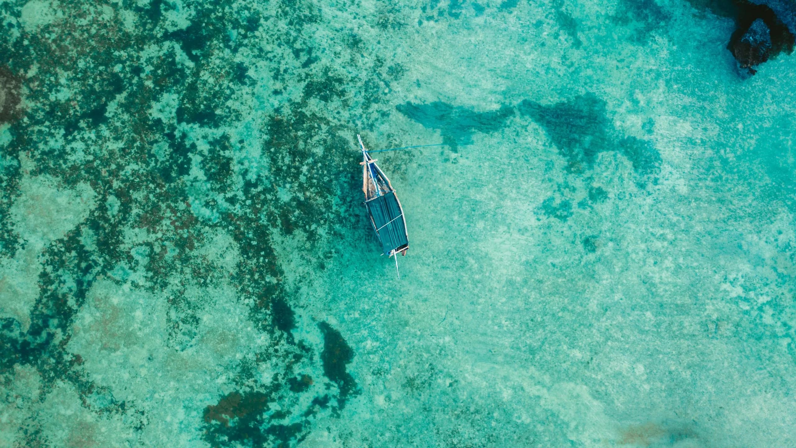 Zanzibar coastline and nature