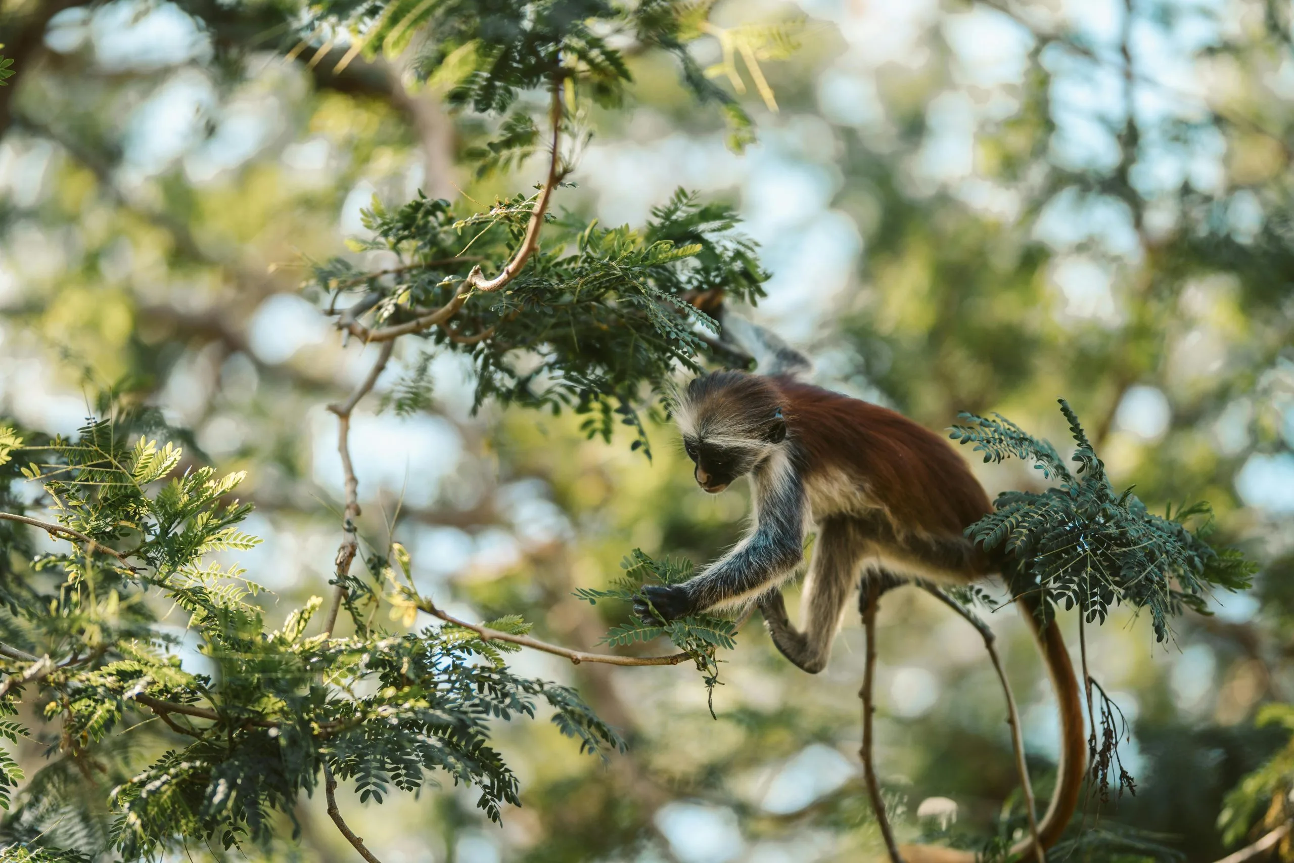 Discovering hidden corners of Zanzibar