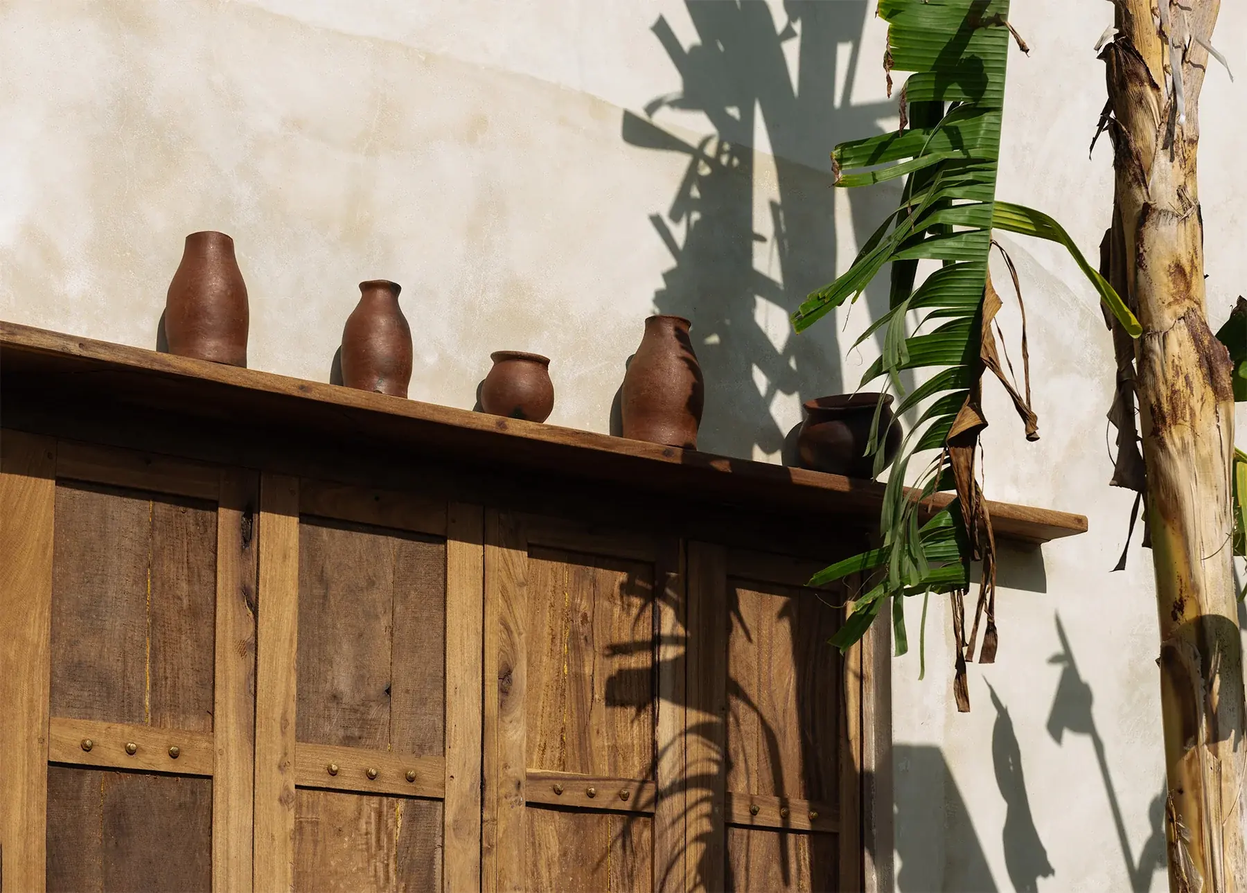 Be Zanzibar blog - twisted palm trees on the beach