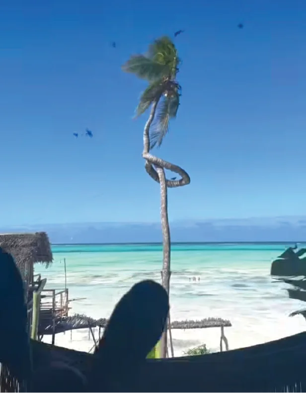 Instagram post by @vacations