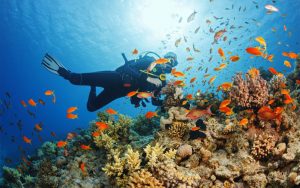 Read more about the article Exploring Zanzibar’s Vibrant Marine Life: Snorkeling and Diving Adventures in Jambiani